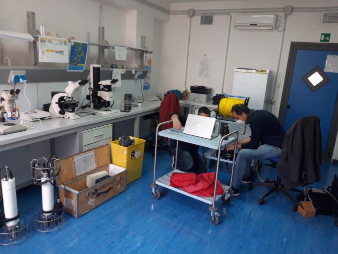 Arpacal. Educazione ambientale: visita guidata "virtuale" nel Centro Strategia Marina di Crotone images Arpacal. Educazione ambientale: visita guidata "virtuale" nel Centro Strategia Marina di Crotone