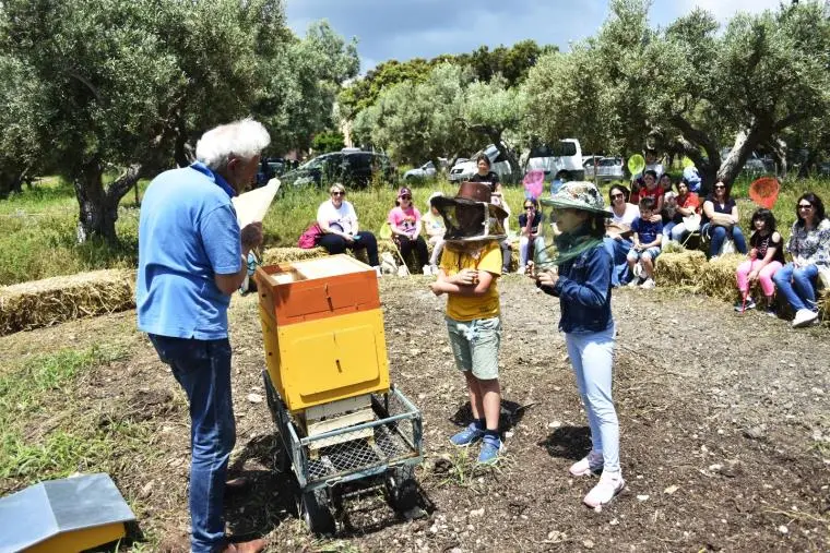 'Appuntamento in giardino 2023', l'Agriturismo 'Petrara' di Simeri Crichi apre le porte del suo patrimonio naturalistico images 'Appuntamento in giardino 2023', l'Agriturismo 'Petrara' di Simeri Crichi apre le porte del suo patrimonio naturalistico