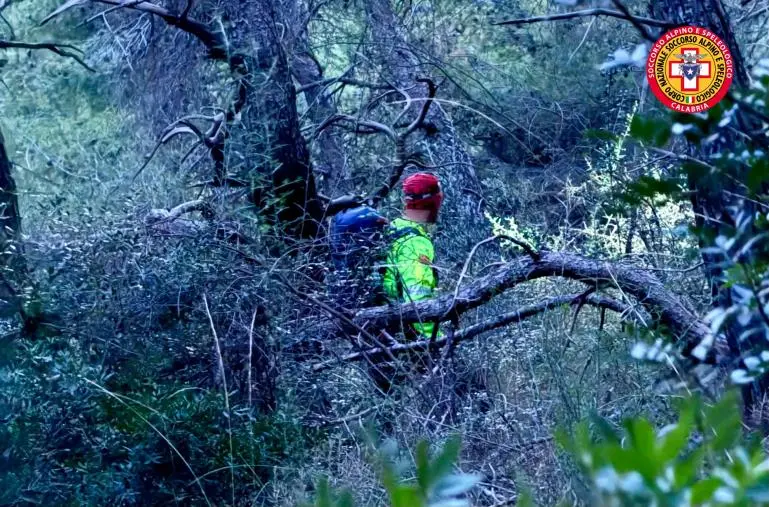 Fungaiolo 73enne disperso a Cerchiara: quarto giorno di ricerche a vuoto images Fungaiolo 73enne disperso a Cerchiara: quarto giorno di ricerche a vuoto