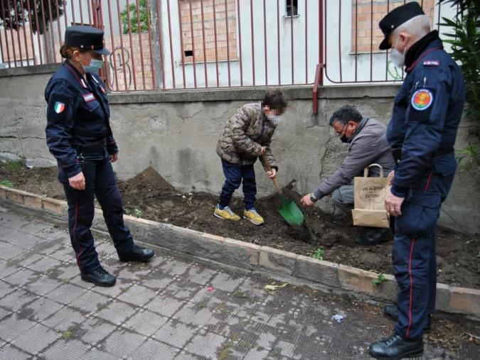 Progetto di educazione ambientale "Un albero per il futuro": i carabinieri della Biodiversità di Reggio Calabria piantano un albero davanti all'IC Carducci images Progetto di educazione ambientale "Un albero per il futuro": i carabinieri della Biodiversità di Reggio Calabria piantano un albero davanti all'IC Carducci