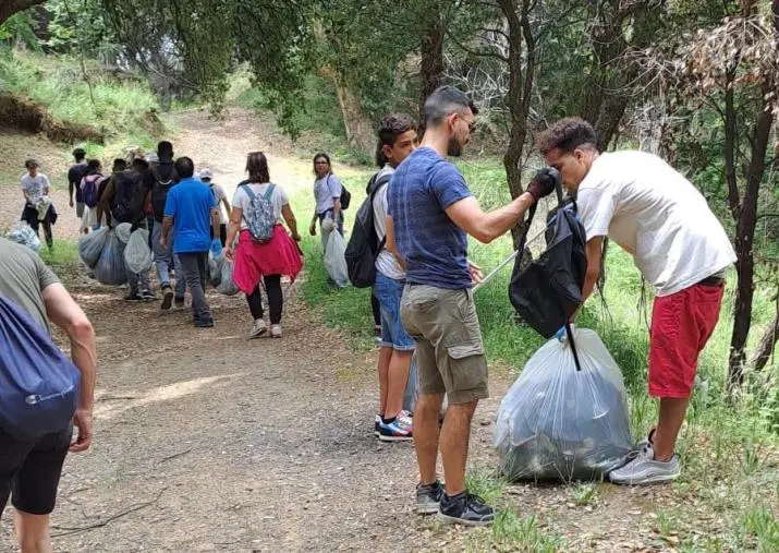 images L'impegno di "Boschi Puliti" per la Pineta di Siano: raccolti ieri 200 kg di rifiuti