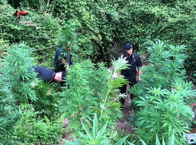 images Mercoledì 28 agosto inizieranno i lavori di Fresatura e bitumazione di viale Pio X