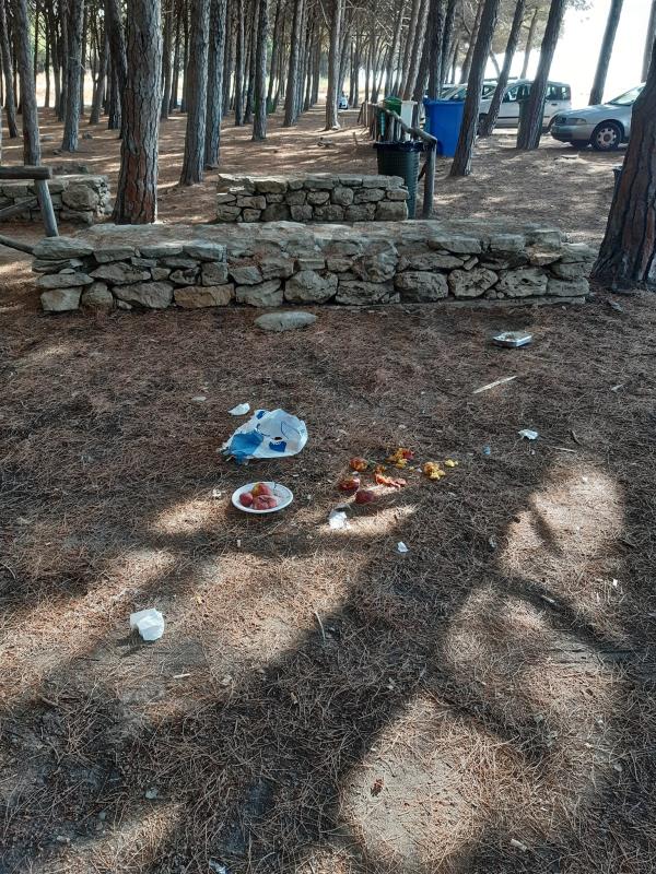 Ex dirigente del Comune di Reggio assolto da omissioni di atto di ufficio images Ex dirigente del Comune di Reggio assolto da omissioni di atto di ufficio