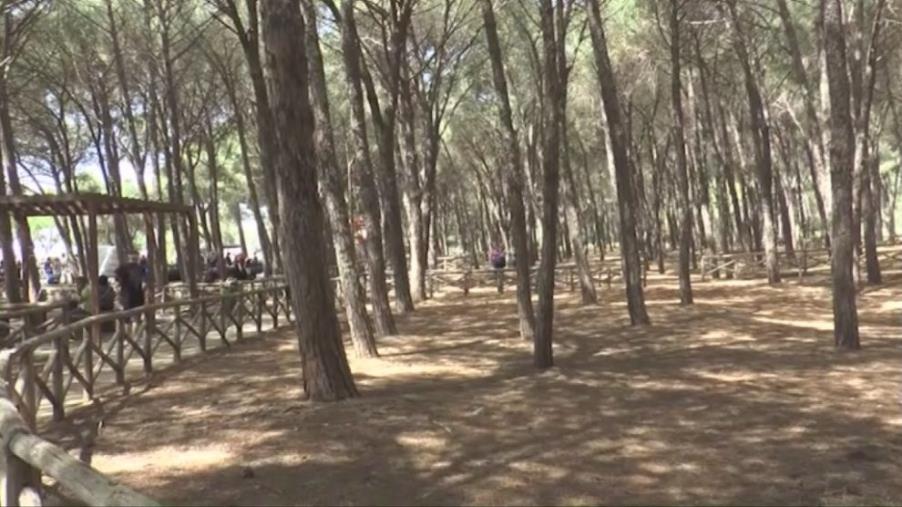 Catanzaro, il sindaco firma 'l'ordinanza di ferragosto': i divieti a tutela delle aree verdi della città   images Catanzaro, il sindaco firma 'l'ordinanza di ferragosto': i divieti a tutela delle aree verdi della città