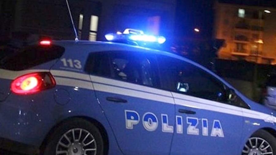 images Coltivavano marijuana in serra per 400mila euro: 3 arresti nel Crotonese