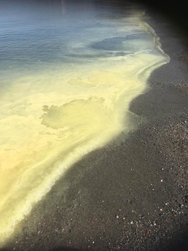 Il Comitato PA Calabria: “Da Arpacal arroganza nel silenzio delle opposizioni”