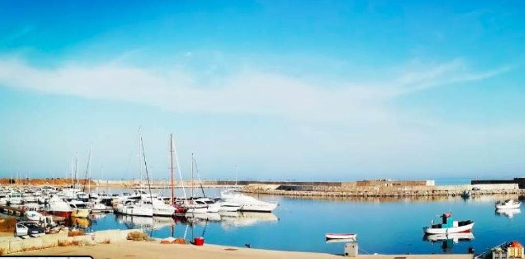 Trattativa privata per l'affidamento dei pontili, la soddisfazione del gruppo consiliare "Catanzaro da Vivere" images Trattativa privata per l'affidamento dei pontili, la soddisfazione del gruppo consiliare "Catanzaro da Vivere"