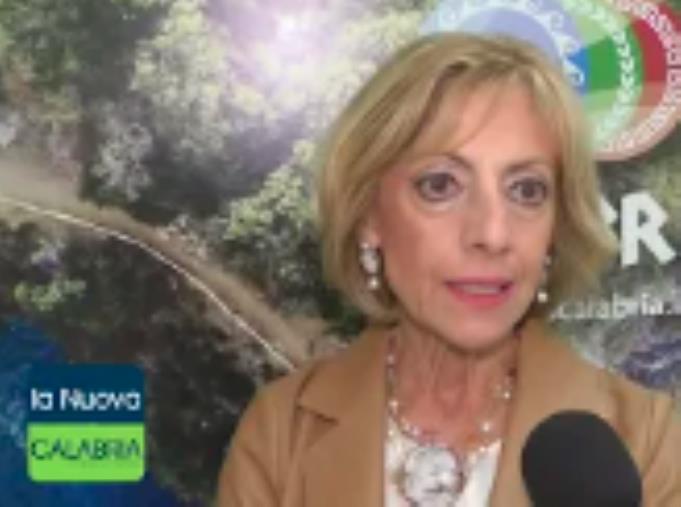 images Terremoti, Cucinotta: "Lavorare per creare sinergie anche attraverso incontri e confronti"