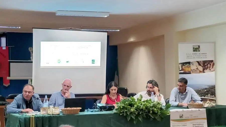images Un disciplinare per la nocciola tonda calabrese, l'iniziativa del GAL delle Serre