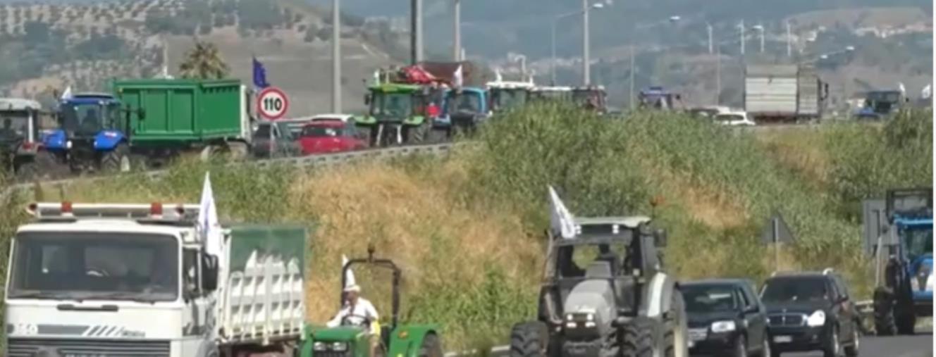 A Catanzaro agricoltori in piazza contro il caro vita: "Siamo stanchi, i costi sono triplicati" images A Catanzaro agricoltori in piazza contro il caro vita: "Siamo stanchi, i costi sono triplicati"