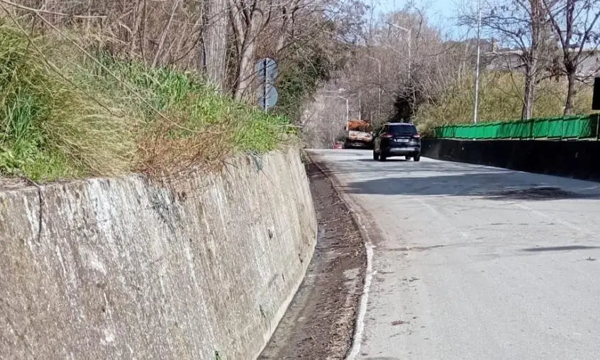 images Catanzaro, avviata pulizia strade nei quartieri Pontegrande e presso la pineta di Siano