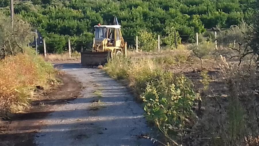 Agricoltura, il 10, 11 e 12 agosto torna a Sibari la tappa estiva di "AgriTerranova"  images Agricoltura, il 10, 11 e 12 agosto torna a Sibari la tappa estiva di "AgriTerranova"