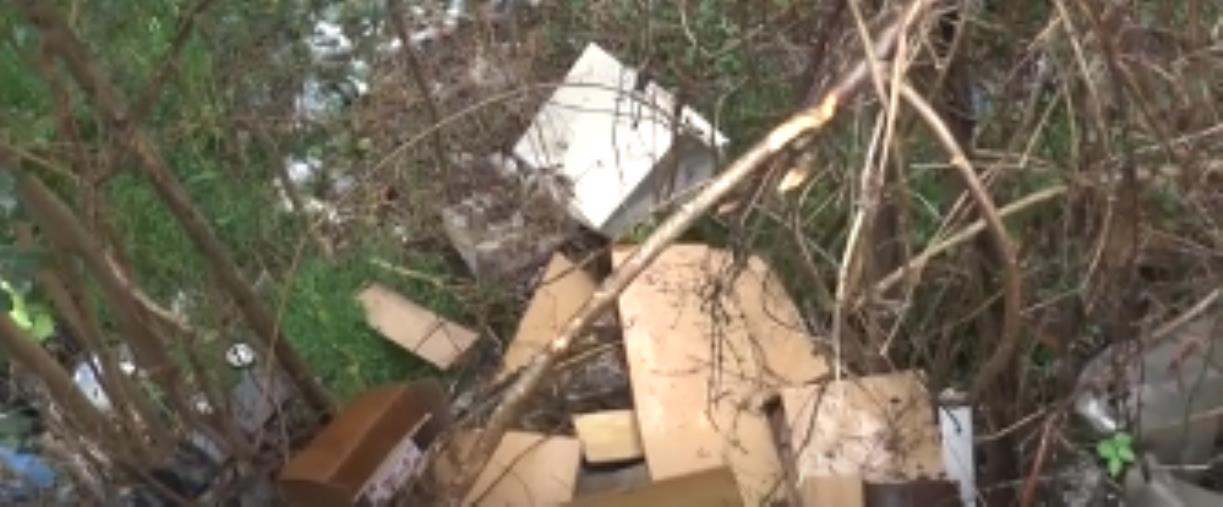 images A Catanzaro il letto della Fiumarella che attraversa la città è ormai una discarica&nbsp;