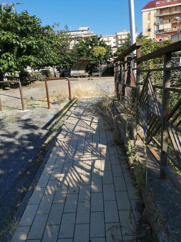 Inversione senso di marcia, chiesto un incontro al sindaco images Inversione senso di marcia, chiesto un incontro al sindaco