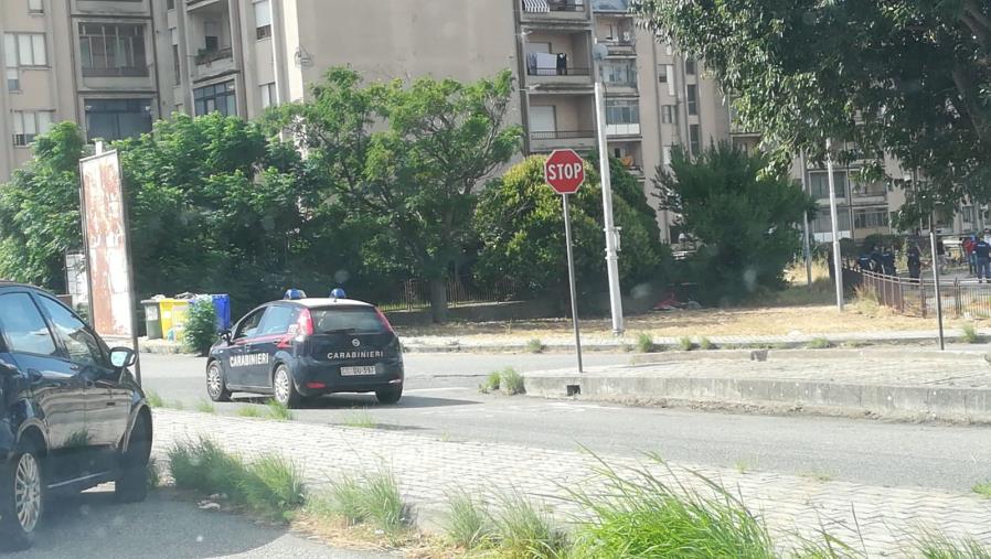 Cagnolina investita e uccisa nel quartiere Aranceto, l'associazione Eden: "Si sarebbe potuto evitare" images Cagnolina investita e uccisa nel quartiere Aranceto, l'associazione Eden: "Si sarebbe potuto evitare"