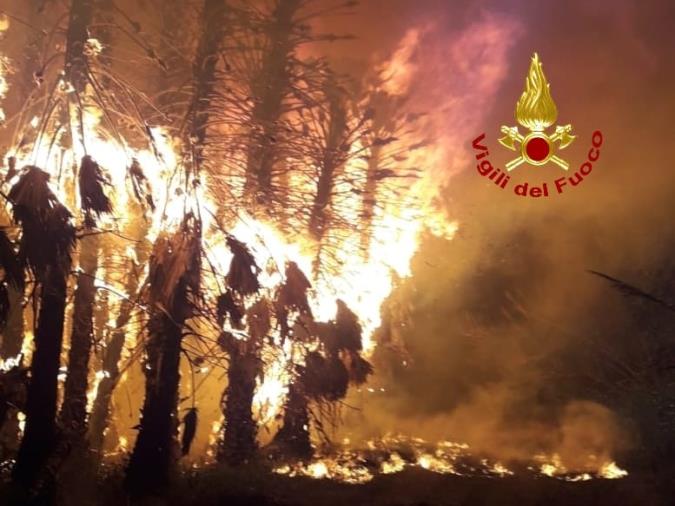 images Rogo in un vivaio a Sant'Eufemia: panico fra gli abitanti della zona