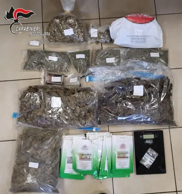 images Nascondeva marijuana e hashish nella gabbia dei conigli: a Rosarno denunciato un 28enne e arrestato un 23enne