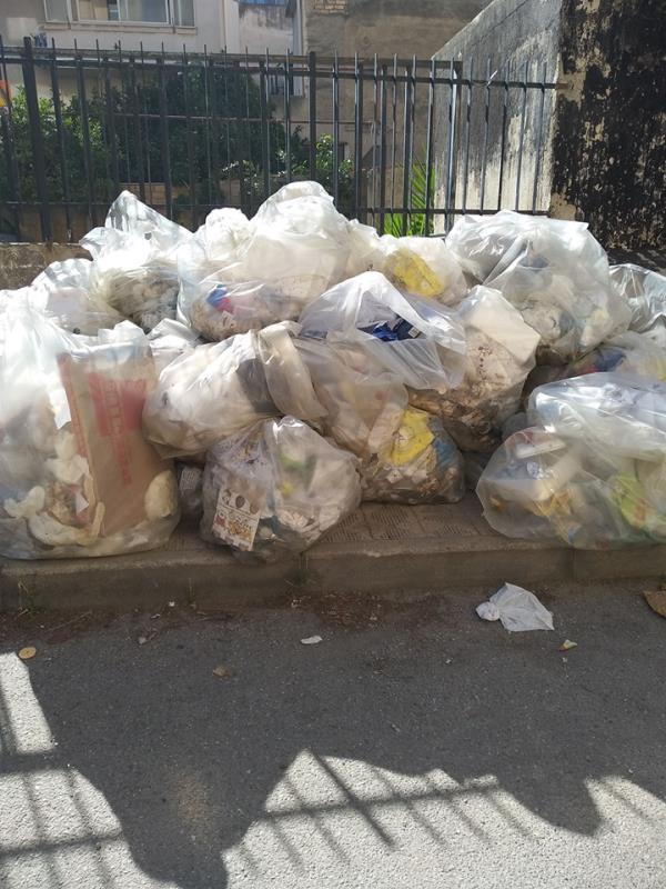 A Mesoraca i Vigili del Fuoco salvano un cagnolino images A Mesoraca i Vigili del Fuoco salvano un cagnolino