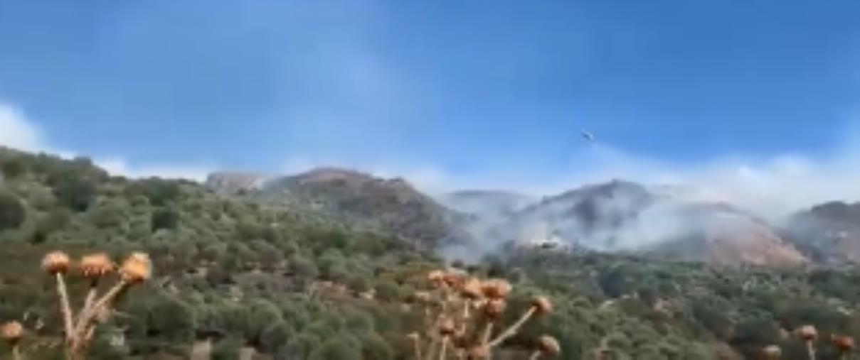 images Tragedia a San Lorenzo. Il dolore e la rabbia dell'Ente Parco d'Aspromonte dopo la morte di zia e nipote: "C'è stata una pluralità di focolai" 