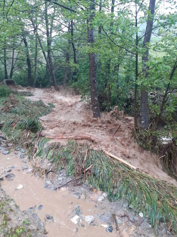 images Sant'Agata di Esaro, esonda il fiume. Il Comune: "Uscire di casa solo se necessario"