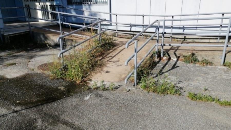 images Catanzaro. Santise (I Quartieri): "Il degrado ricomincia nelle scuole" (FOTO)