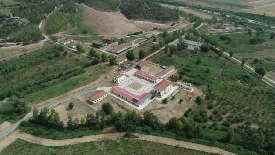 images Assegnati 260 mila euro al Crisea, il presidente Mormile: "Importante segnale per lo sviluppo del territorio" 