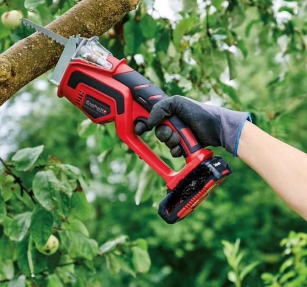 Motosega da potatura a batteria: perché sceglierla per la potatura dell’olivo? images Motosega da potatura a batteria: perché sceglierla per la potatura dell’olivo?