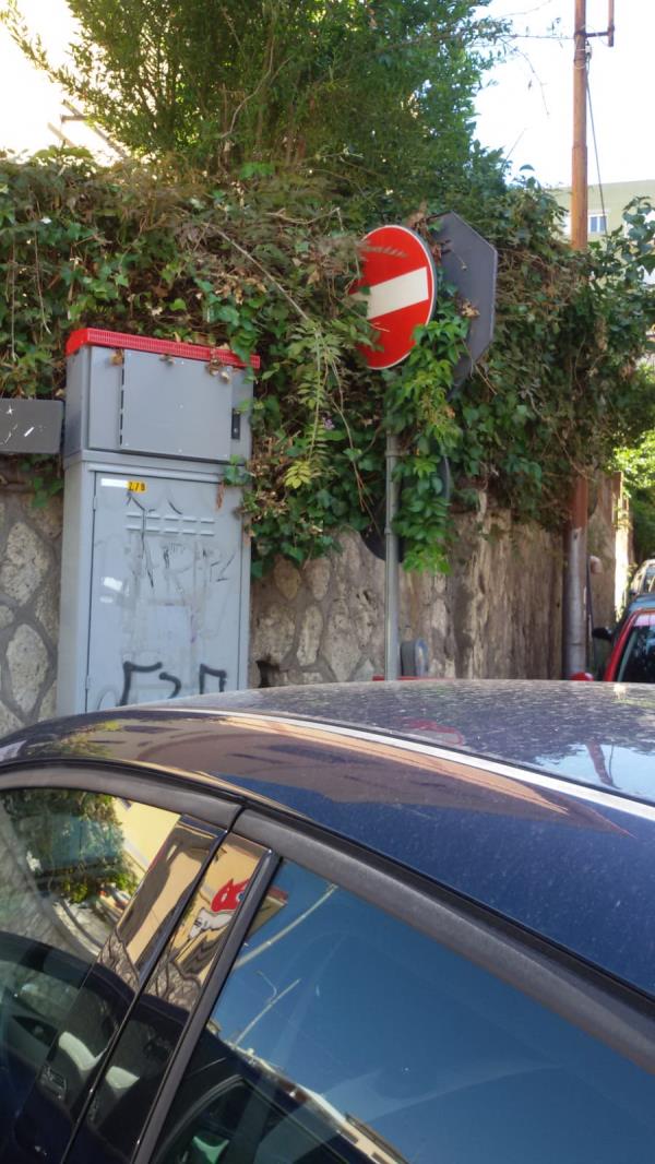 images Un campo estivo all'insegna dell'educazione civica