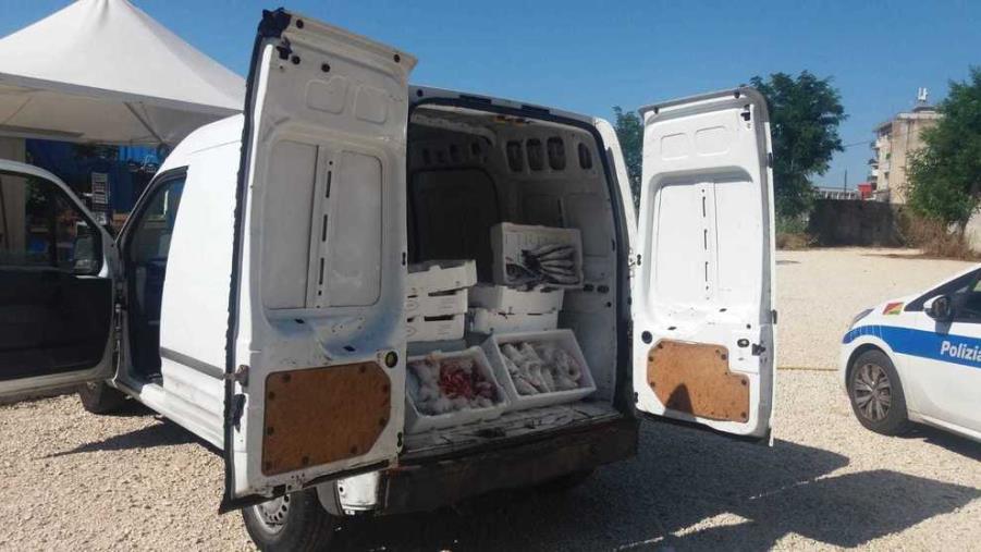 Vendita abusiva e senza tracciabilità di prodotti ittici e ortofrutticoli. Sequestri a Crotone images Vendita abusiva e senza tracciabilità di prodotti ittici e ortofrutticoli. Sequestri a Crotone