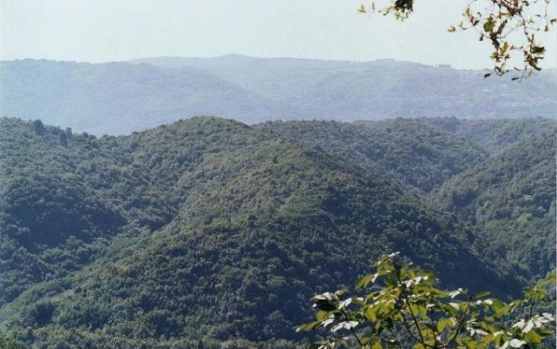 Serre calabresi sotto attacco, l’Associazione “Petrusinu ogni minestra”: "Le nostre montagne non si toccano"