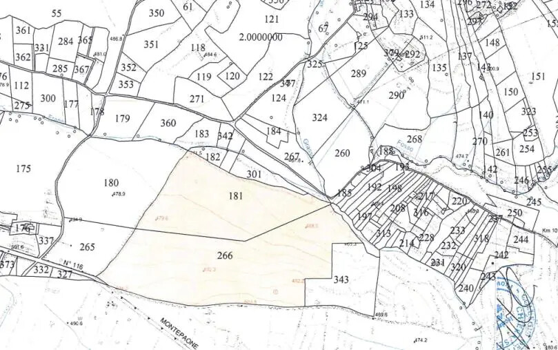Usi civici e atti dell’800 vagliati a Squillace e Montepaone ma per motivi diversi: ecco quali images Usi civici e atti dell’800 vagliati a Squillace e Montepaone ma per motivi diversi: ecco quali