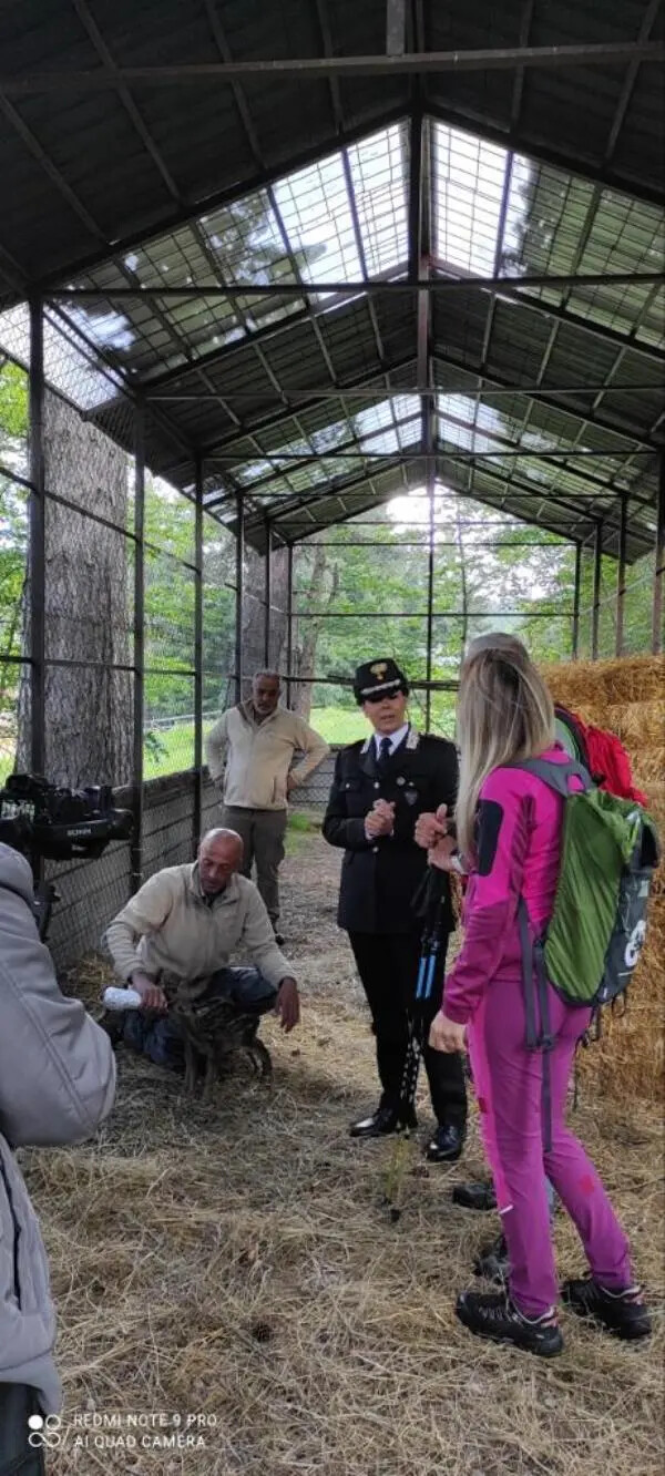 images I sentieri della Sila a ‘Linea Verde Sentieri’: 2milioni di telespettatori 