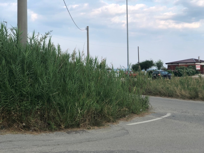 Domani inaugurazione del murales del progetto Open space all'istituto Telesio
images Domani inaugurazione del murales del progetto Open space all'istituto Telesio