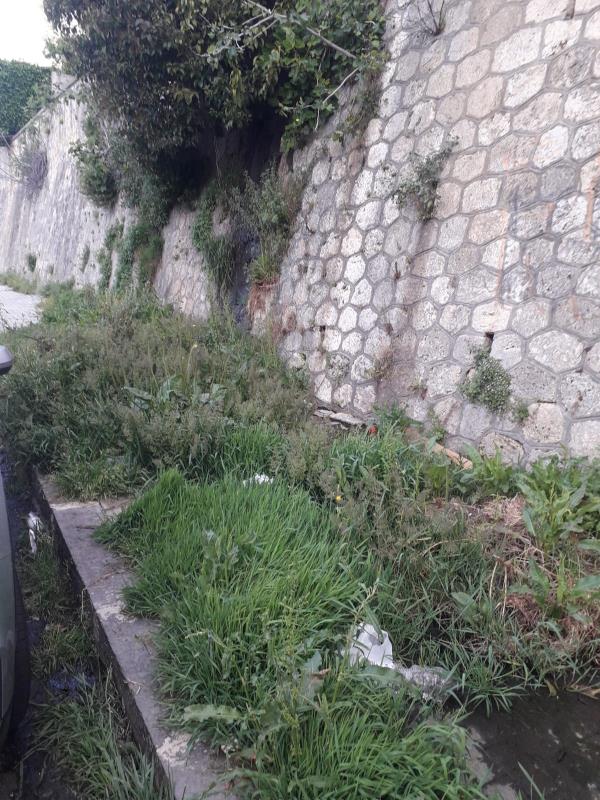 Catanzaro. Il consigliere comunale Pisano su via stretto Cappuccini: “I settori gestione del territorio e ambiente intervengano" images Catanzaro. Il consigliere comunale Pisano su via stretto Cappuccini: “I settori gestione del territorio e ambiente intervengano"