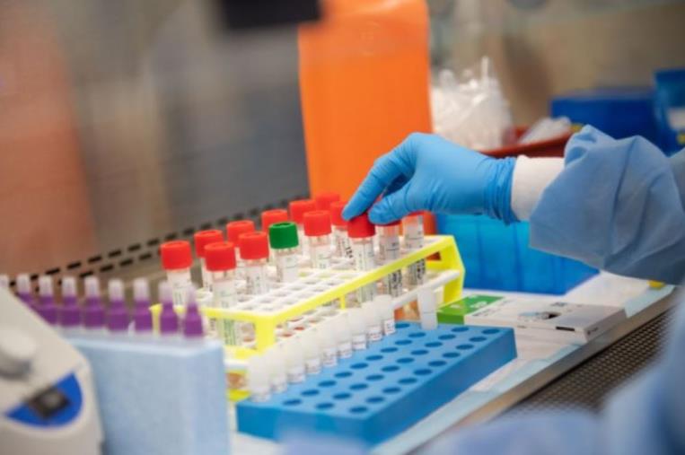 images Covid, i Nas sospendono l'attività di esecuzione dei tamponi antigenici in 5 farmacie  