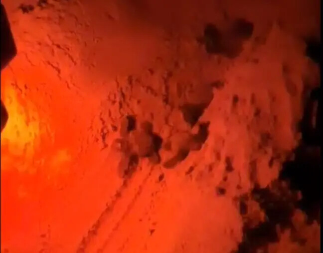 images I giovani di Isola Capo Rizzuto mettono in salvo una nidiata di tartarughe Caretta Caretta