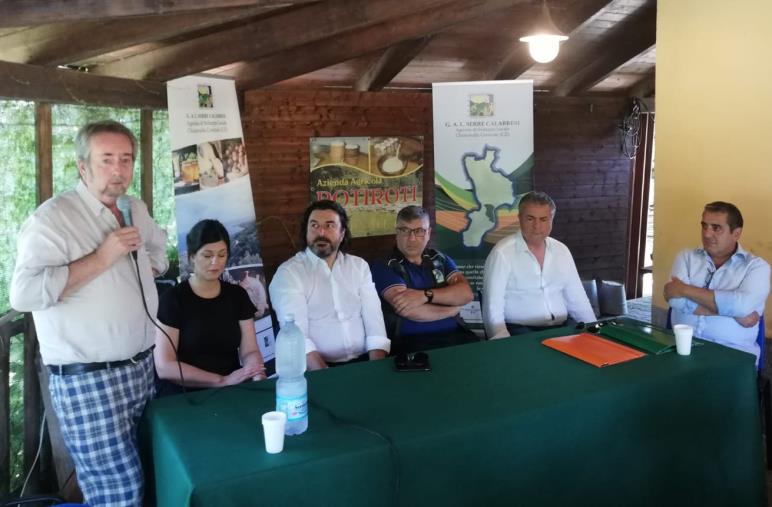 Tonda di Calabria bio, alla festa della Carusa a Cardinale prospettive di sviluppo e promozione del territorio images Tonda di Calabria bio, alla festa della Carusa a Cardinale prospettive di sviluppo e promozione del territorio