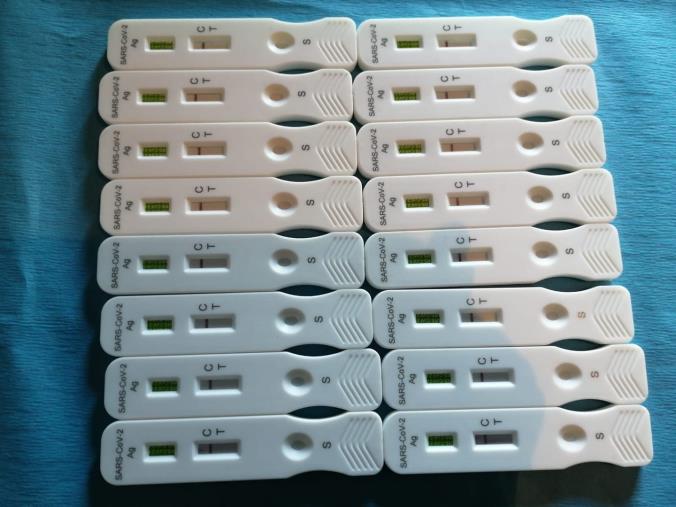 images La Regione annuncia: "Tamponi gratuiti per tutti gli studenti: ecco come fare"