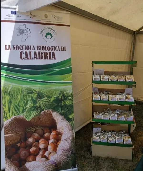 Anche la Tonda di Calabria bio all’Expo Fata di Villaggio Mancuso a Taverna images Anche la Tonda di Calabria bio all’Expo Fata di Villaggio Mancuso a Taverna