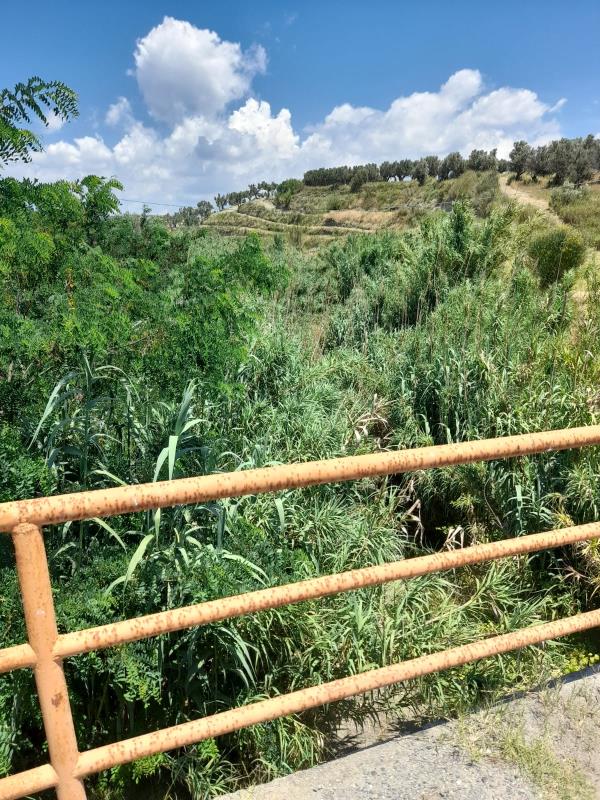 Alveo torrente Castace, il consigliere comunale Levato: "Serve intervento straordinario" images Alveo torrente Castace, il consigliere comunale Levato: "Serve intervento straordinario"