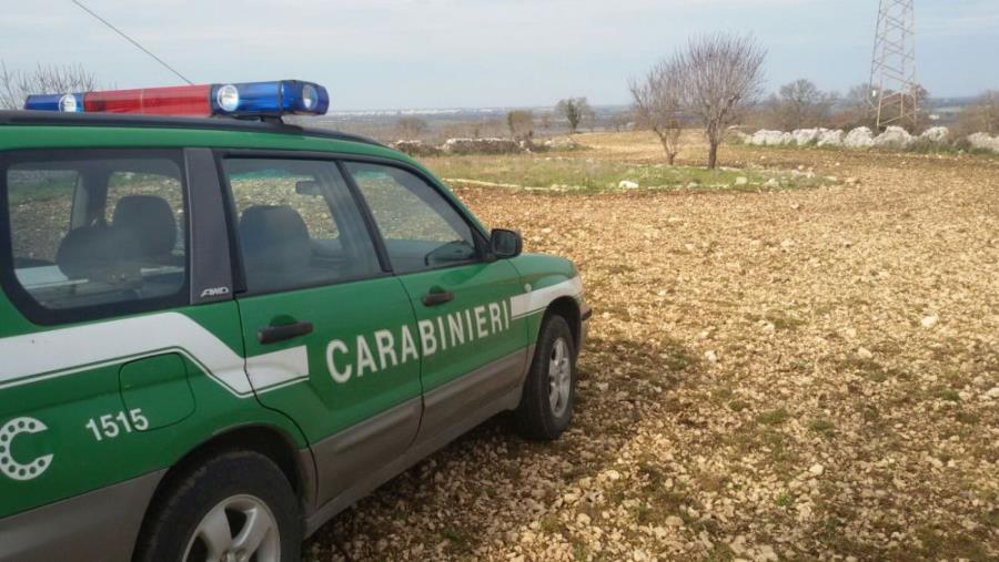 images Sequestrata un'area comunale utilizzata come discarica nel Cosentino, 5 denunce: tra loro il responsabile dell'ufficio Tecnico 
