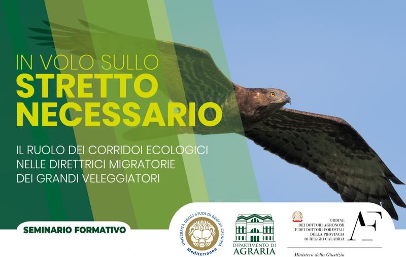 images All'università di Reggio l'incontro “In Volo Sullo Stretto Necessario" 