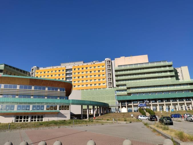 images Umg, entro l'8 agosto le iscrizioni ai corsi di dottorato di Medicina molecolare e traslazionale 