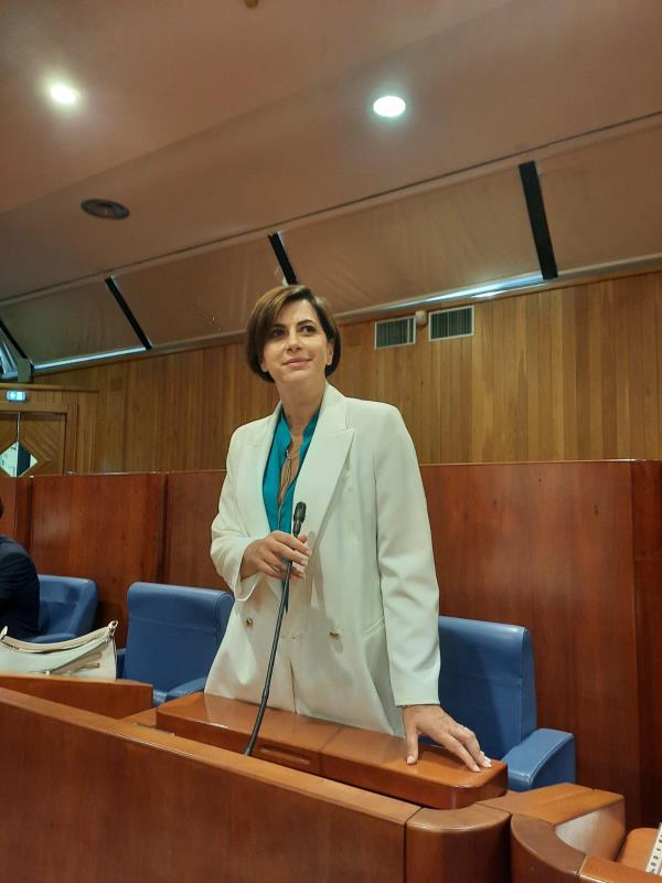 images Aeroporto di Lamezia, Fedele: "Modificare la denominazione non risponde ad alcuna esigenza di necessità pratica"