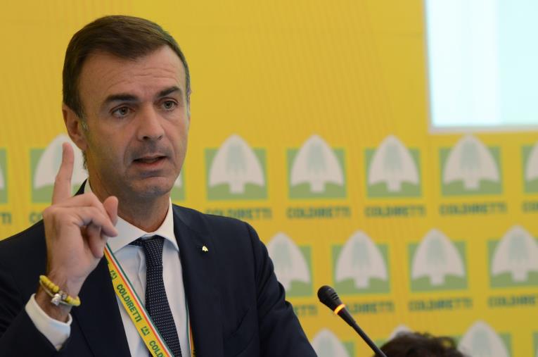 Coldiretti Calabria: in 300mila al villaggio contadino della Coldiretti a Cosenza images Coldiretti Calabria: in 300mila al villaggio contadino della Coldiretti a Cosenza