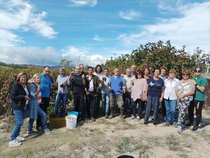 La vendemmia diventa solidale con il vino ‘Ostrakon’, tradizione di AMA Calabria images La vendemmia diventa solidale con il vino ‘Ostrakon’, tradizione di AMA Calabria