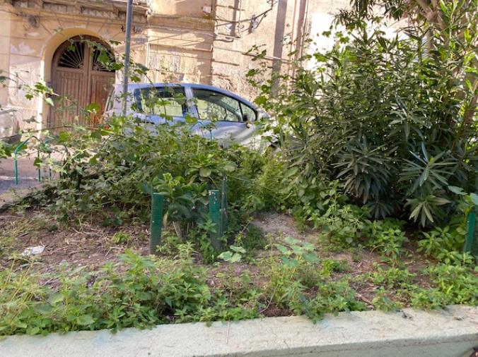 Catanzaro. Veraldi, il turista "centripeto" che torna in città tra degrado e abbandono images Catanzaro. Veraldi, il turista "centripeto" che torna in città tra degrado e abbandono