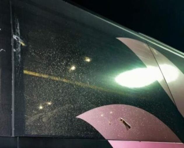 images Atto vandalico al pullman del Palermo, l'Us Catanzaro 1929: "Solidarietà al club siciliano"