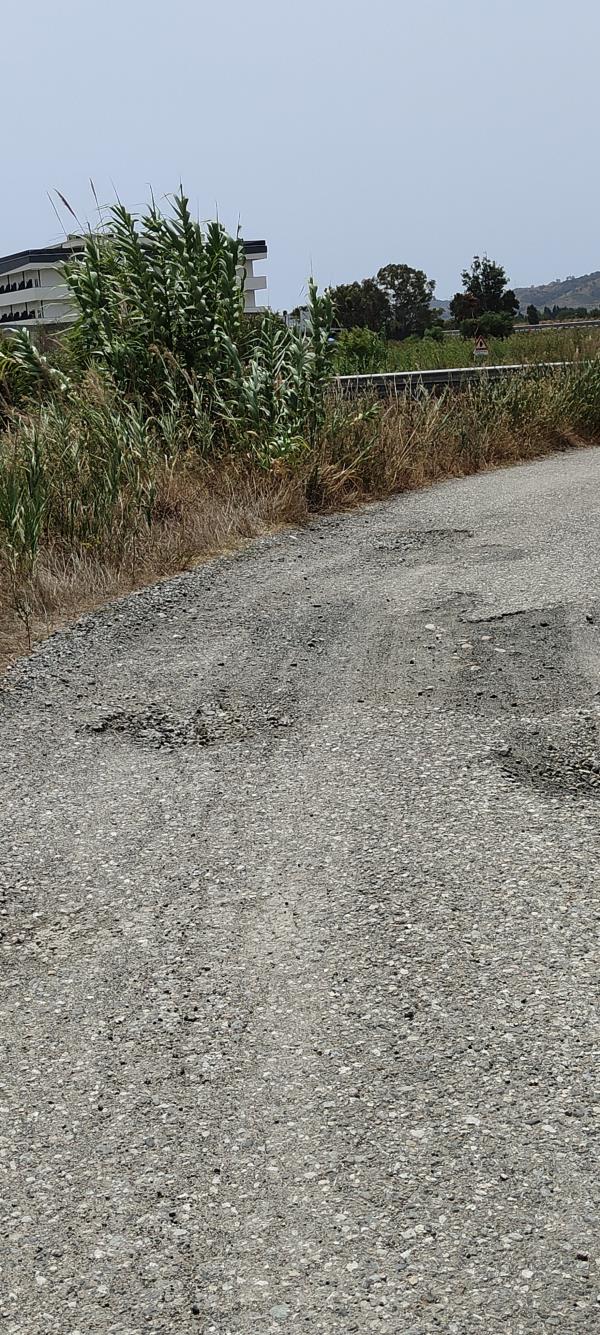 images Catanzaro, i residenti di via Tagliamento, 4: "Abbandonati da 20 anni vorremmo un po' di riguardo nei nostri confronti"