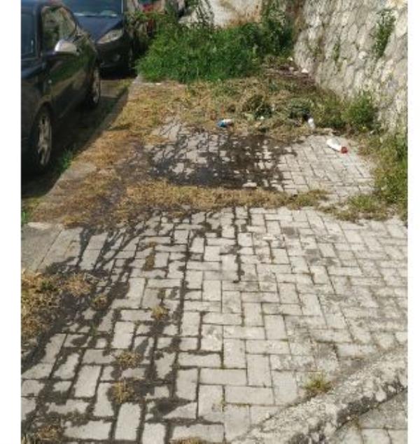 images Catanzaro. La denuncia di Elio Mauro: "Fogna a cielo aperto in via stretto Cappuccini"